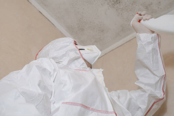 Best Certified Mold Removal  in Friendswood, TX