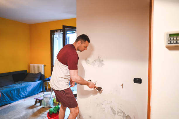 Best Professional Mold Removal  in Friendswood, TX
